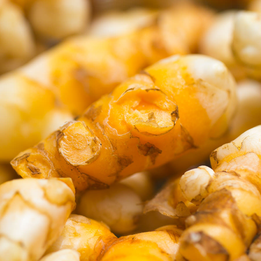 Turmeric Tincture